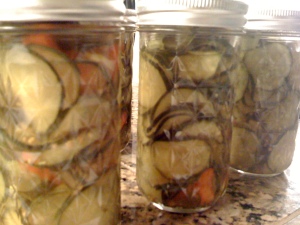 All finished...yummy bread and butter pickles, canned and sealed!